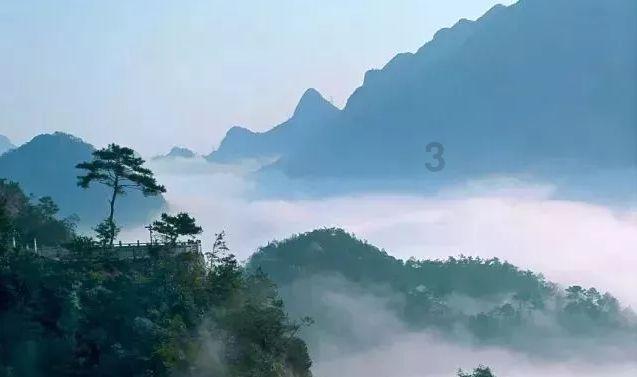 救援深海动物