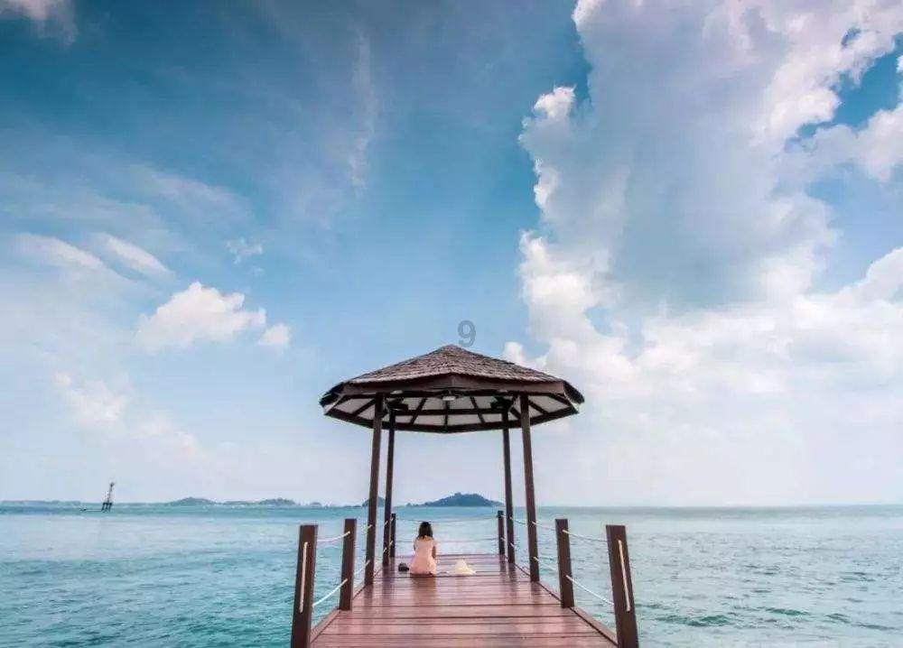 窝小芽鳕鱼肠:海藻糖赋予的自然甜,让孩子享受健康美味!