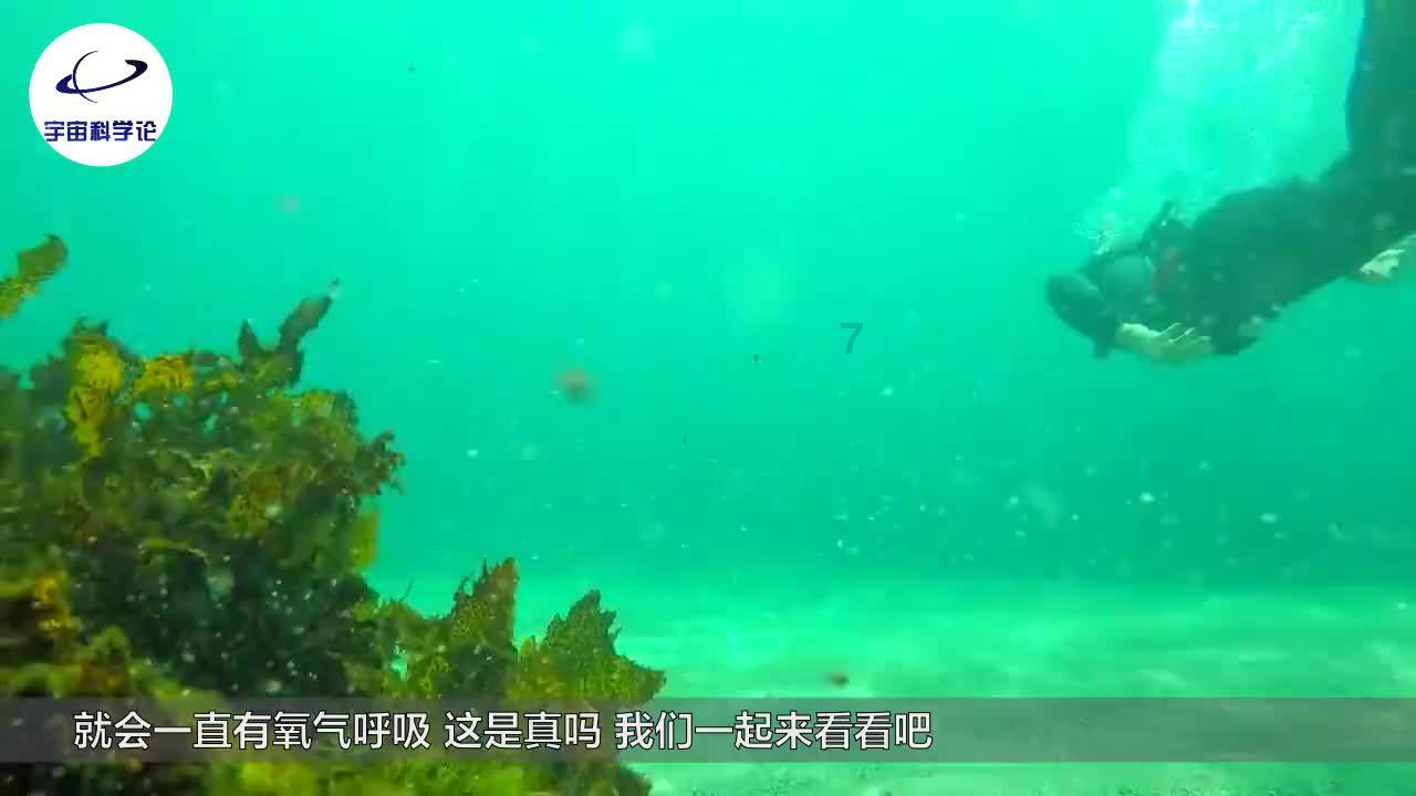 沙漠前行