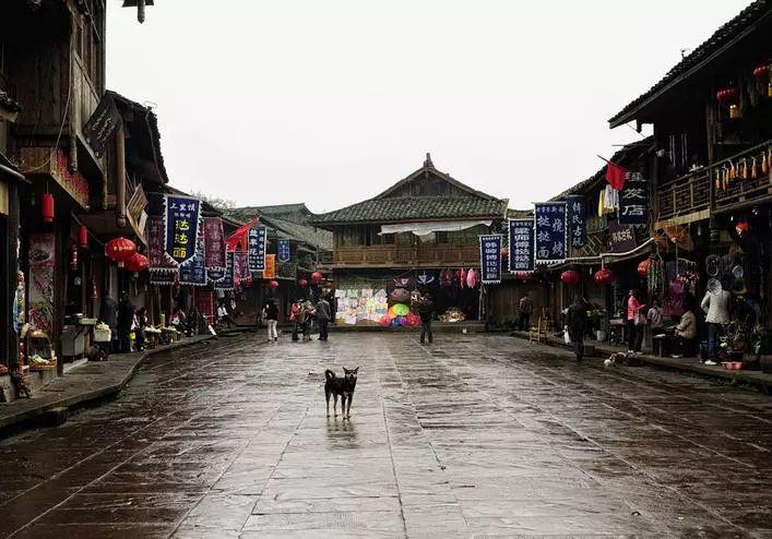 行尸走肉